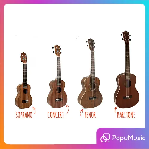 Phân biệt các loại Ukulele Ukulele Soprano là gì Ukulele Concert khác gì Soprano So sánh Ukulele Tenor và Concert